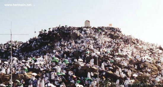 Arafat.jpg